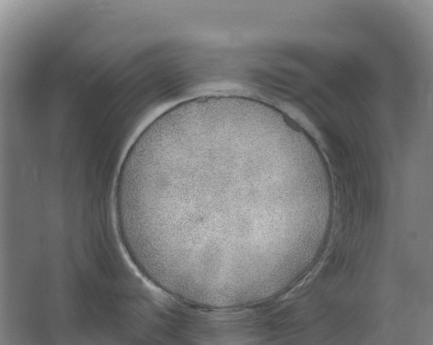 X0000067001440200604142247