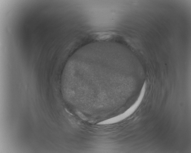 X0000067001441200604142247