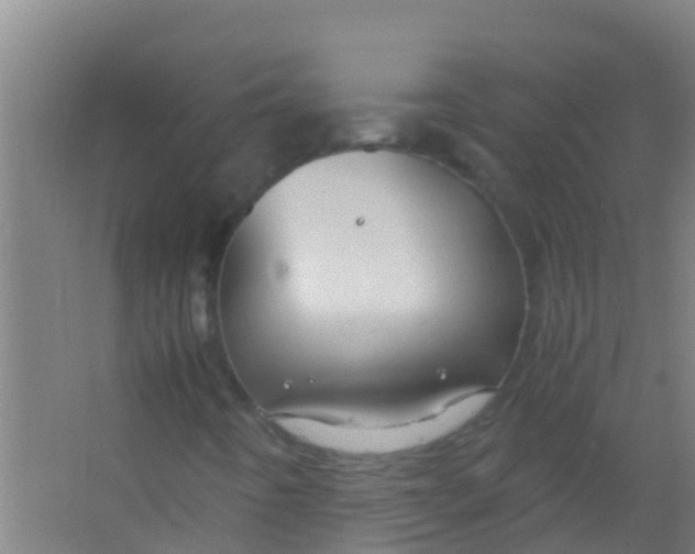 X0000067001442200604142247