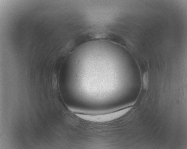 X0000067001443200604142247