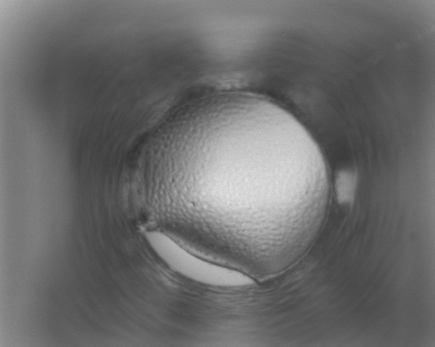 X0000067001444200604142247