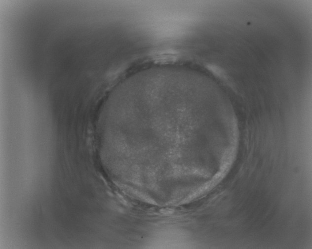 X0000067001445200604142247