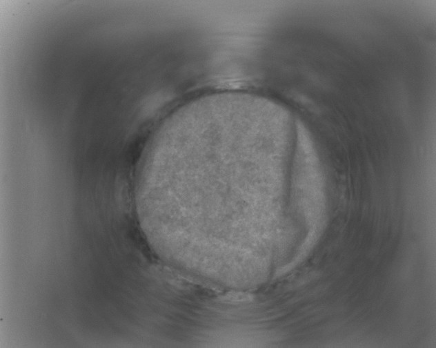 X0000067001446200604142247