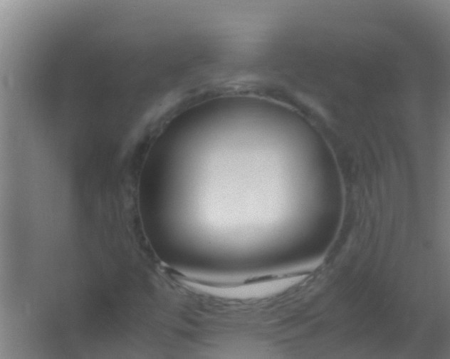 X0000067001447200604142247