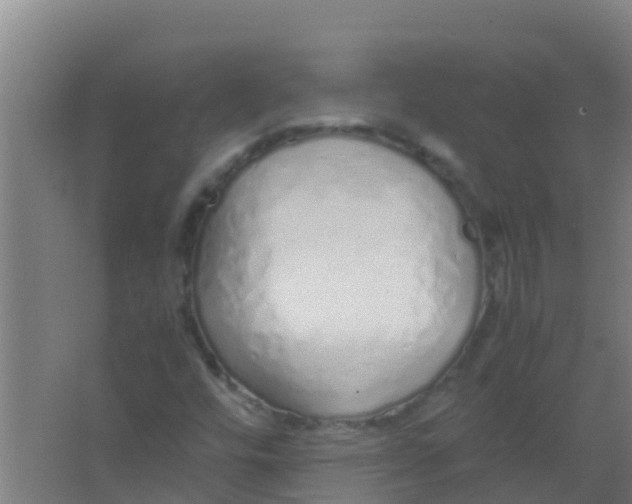 X0000067001448200604142247