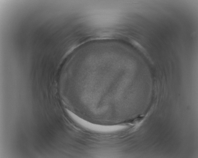 X0000067001449200604142246