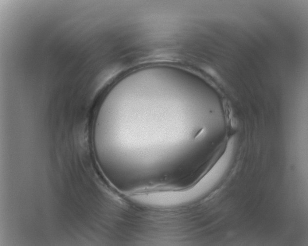 X0000067001450200604142246