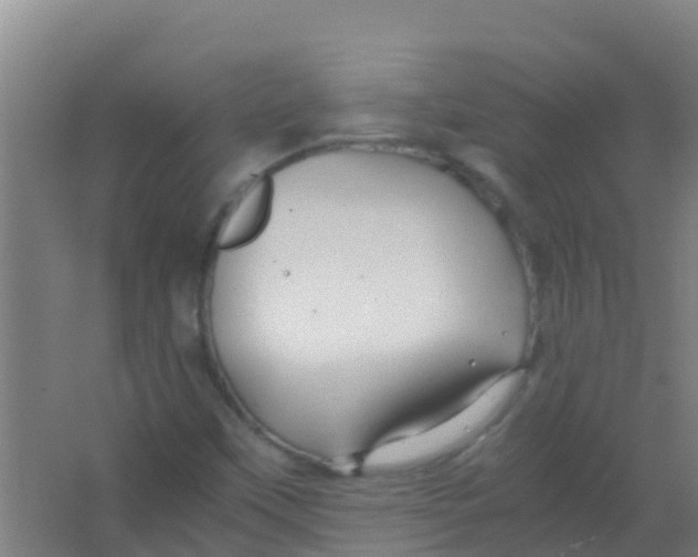 X0000067001451200604142246