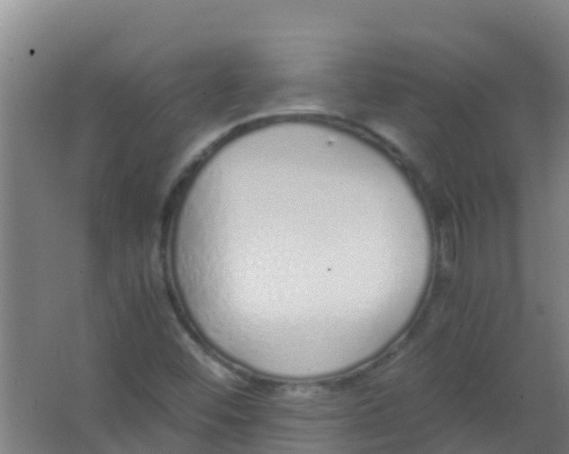 X0000067001452200604142246