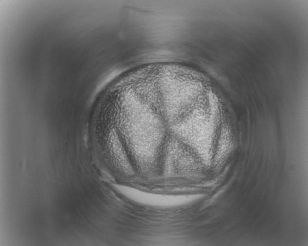 X0000067001453200604142246