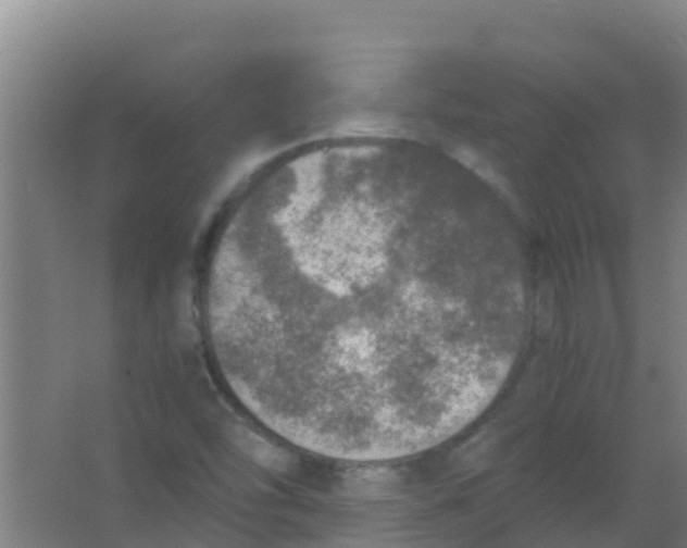 X0000067001454200604142246