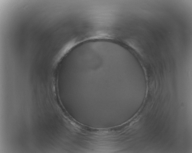 X0000067001455200604142246