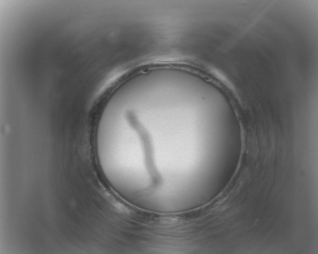 X0000067001456200604142246