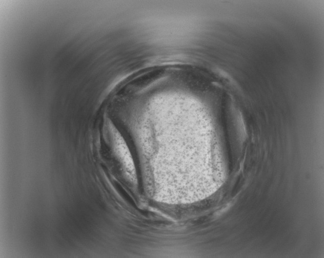 X0000067001457200604142246