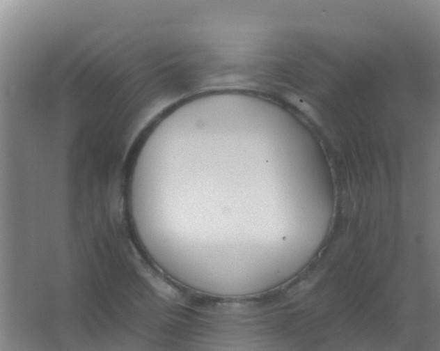 X0000067001458200604142246