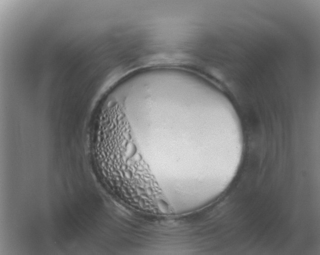 X0000067001459200604142246