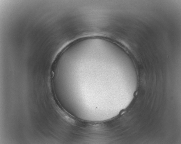 X0000067001460200604142246