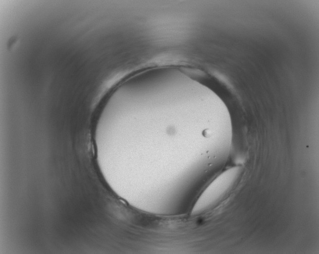 X0000067001461200604142246