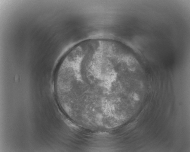 X0000067001462200604142246