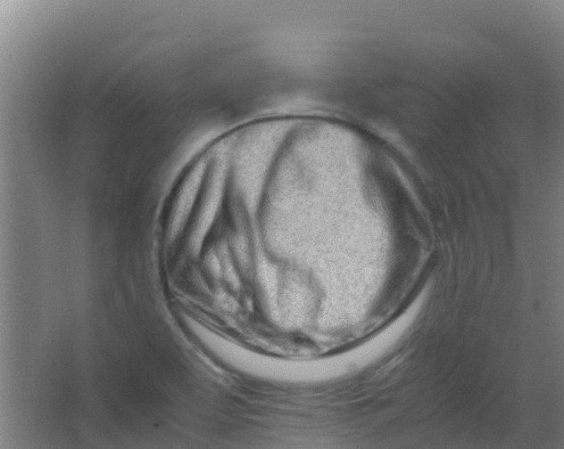 X0000067001463200604142246