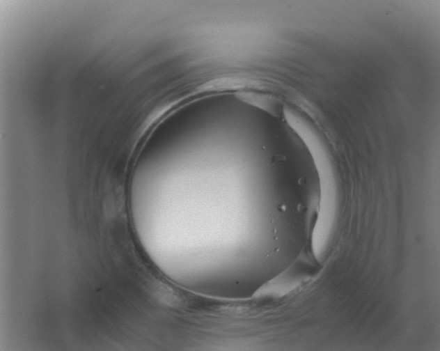 X0000067001465200604142246