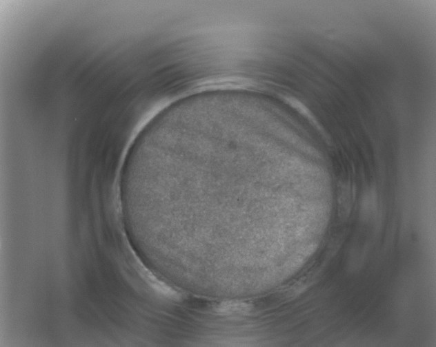 X0000067001466200604142246