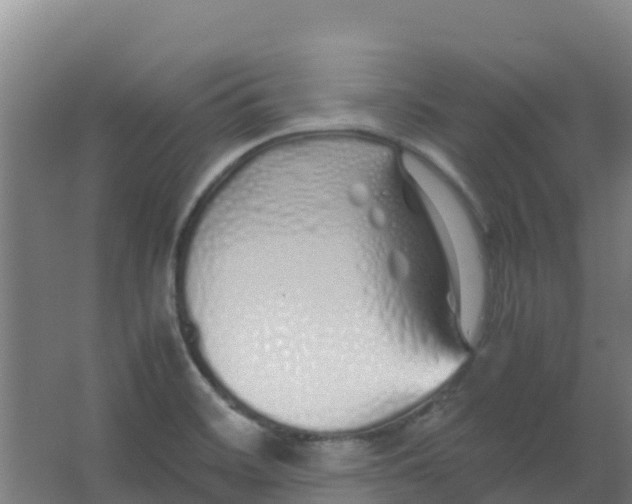 X0000067001468200604142246