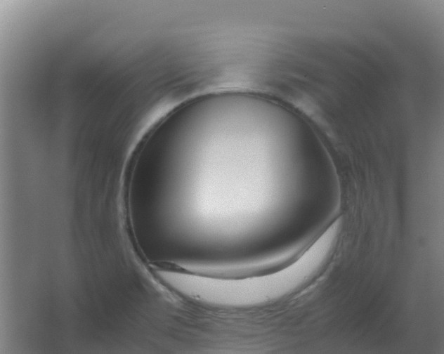 X0000067001469200604142246