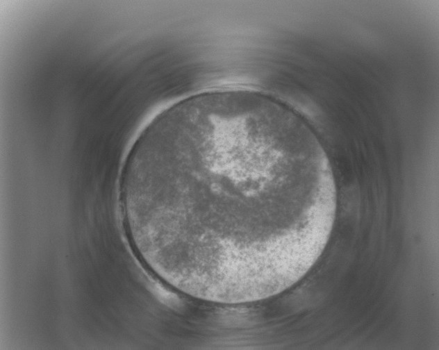 X0000067001470200604142246