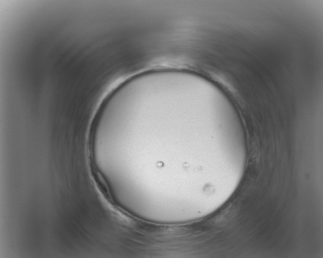 X0000067001471200604142246