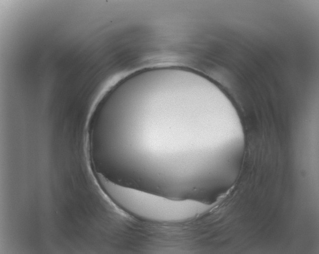 X0000067001472200604142246