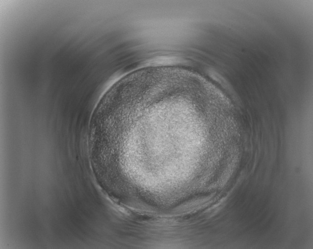 X0000067001473200604142246