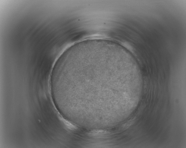 X0000067001474200604142246