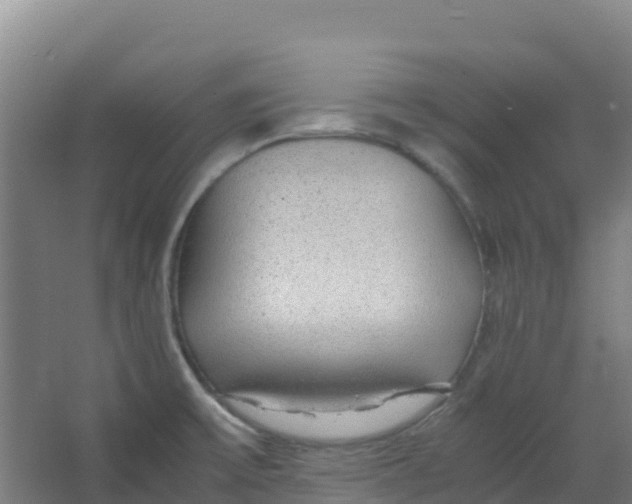 X0000067001475200604142246