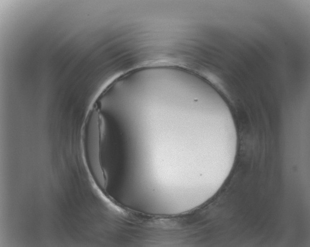 X0000067001476200604142246