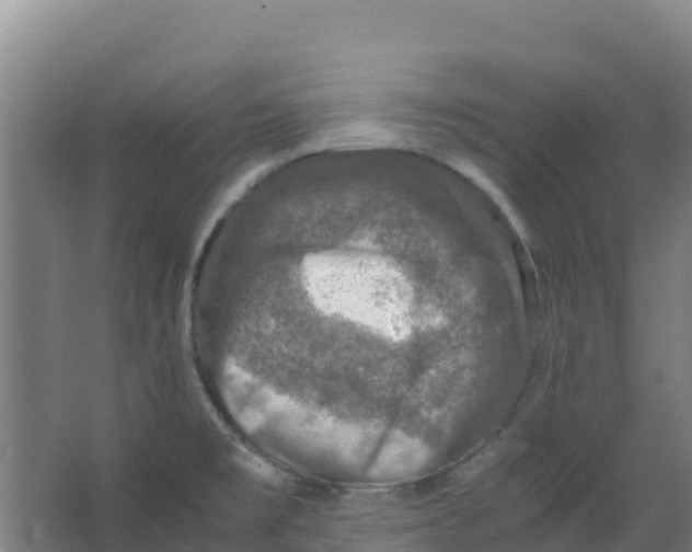 X0000067001477200604142246