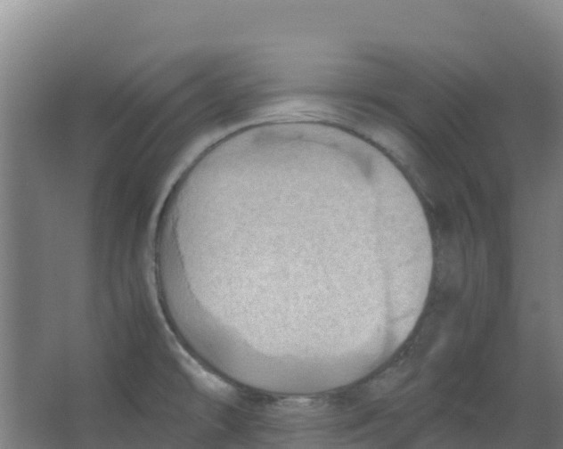 X0000067001478200604142246