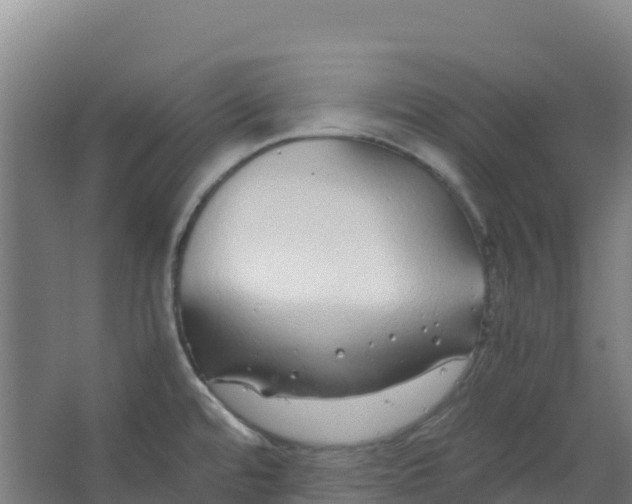 X0000067001480200604142246