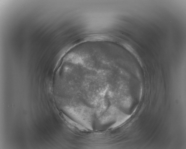 X0000067001481200604142246