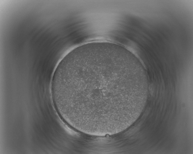 X0000067001482200604142246