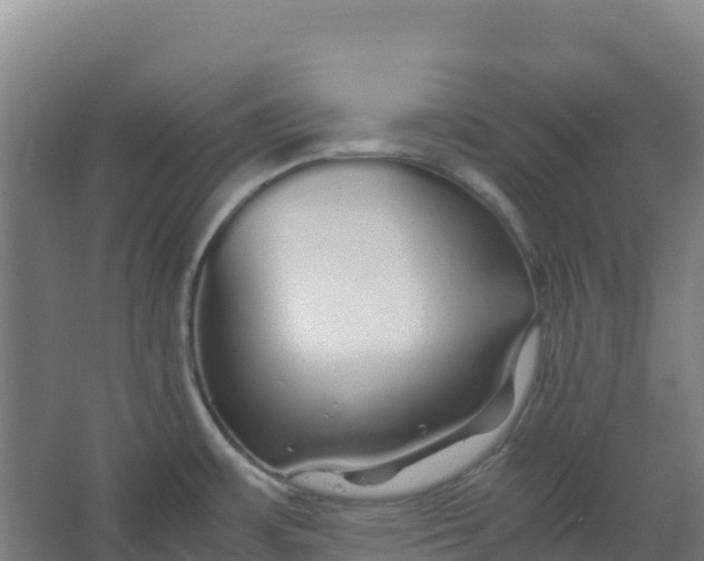 X0000067001483200604142246