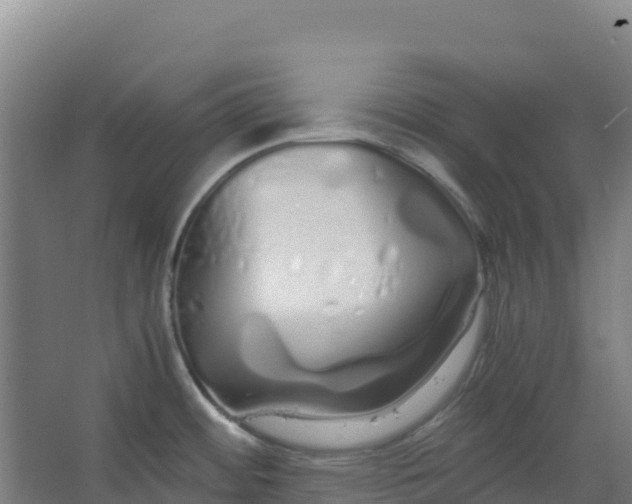 X0000067001484200604142246