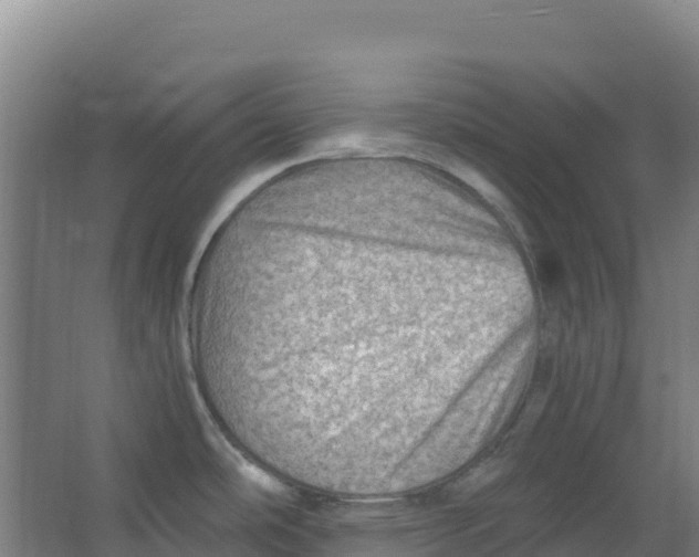 X0000067001486200604142246