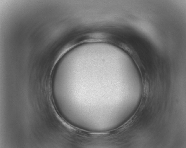 X0000067001487200604142246