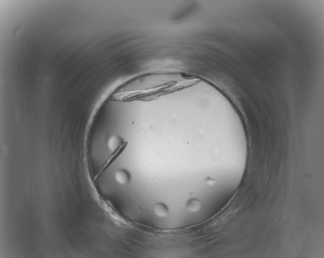 X0000067001488200604142246