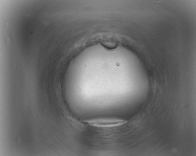 X0000067001489200604142245