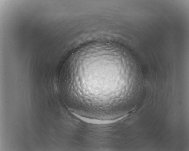 X0000067001490200604142245