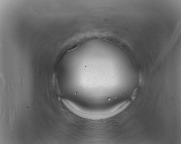 X0000067001492200604142245