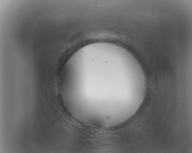 X0000067001493200604142245