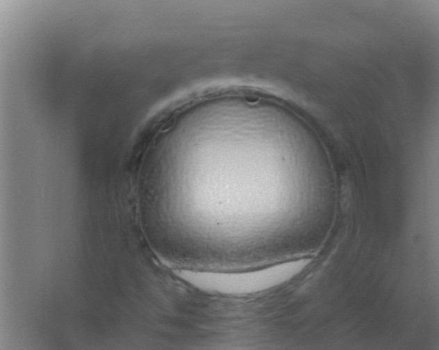 X0000067001494200604142245